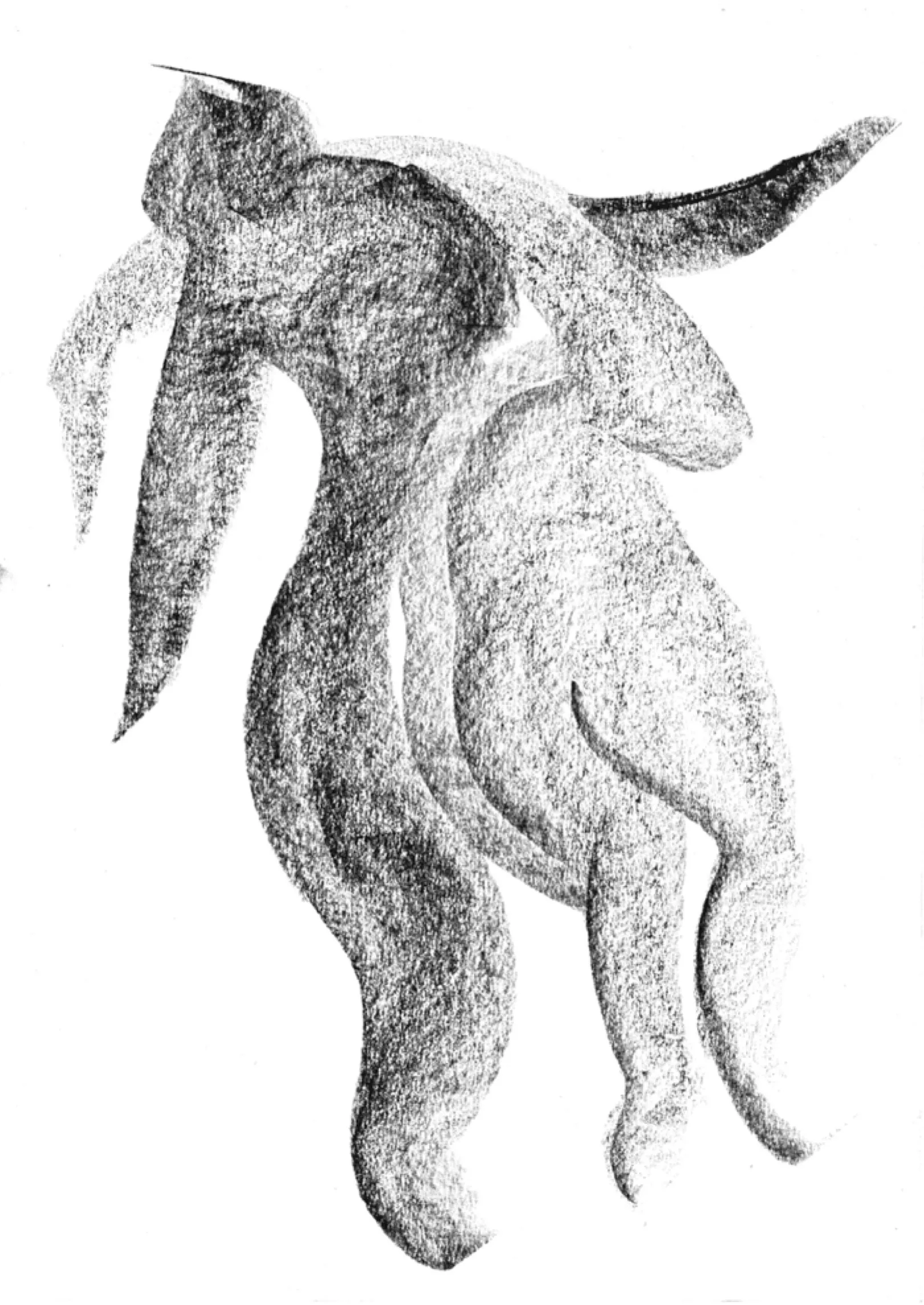 Corpi danzanti — 7